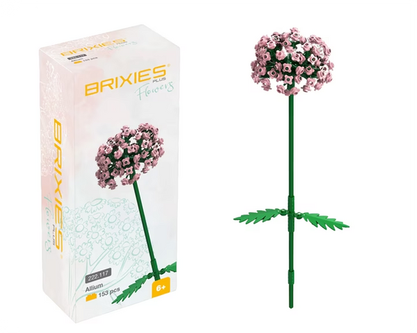 BRIXIES PLUS ALLIUM ROSA
