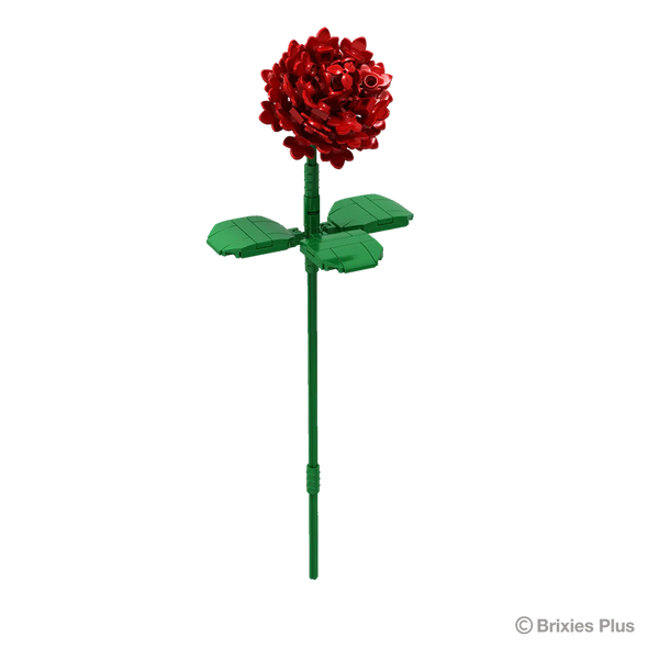 BRIXIES PLUS ROSE