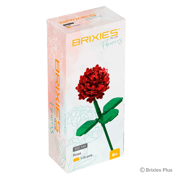 BRIXIES PLUS ROSE