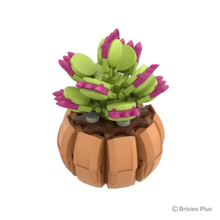 BRIXIES PLUS MINI BLUME VENUS