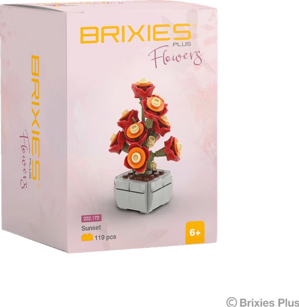 BRIXIES PLUS MINI BLUME SUNSET