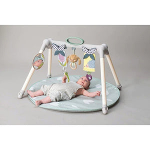 TAF TOYS URBAN GATE FOLDABLE BABY GYM