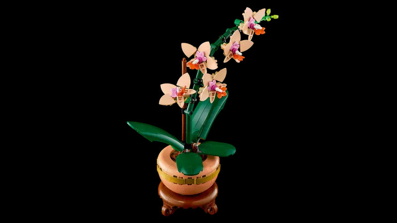 Mini Orchid (10343)