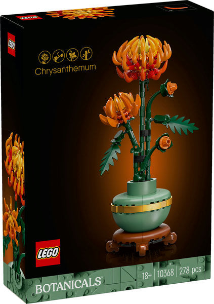 Chrysanthemum (10368)