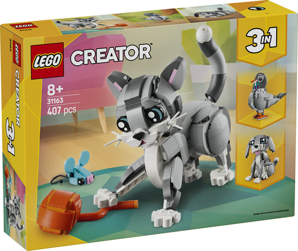 Playful Cat (31163)