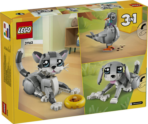 Playful Cat (31163)
