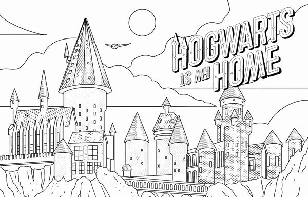 HARRY POTTER MAGICAL ART COLOURING BOOK