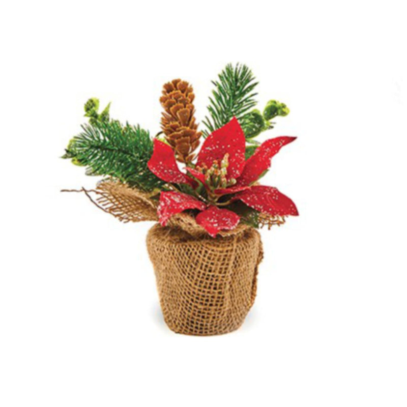 18CM POINSETTIA ARRANGEMENT