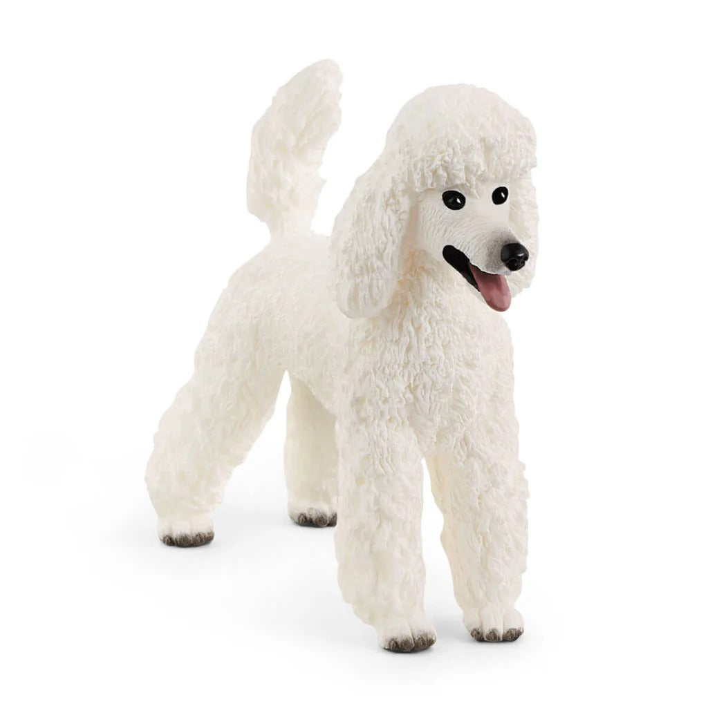 SCHLEICH POODLE