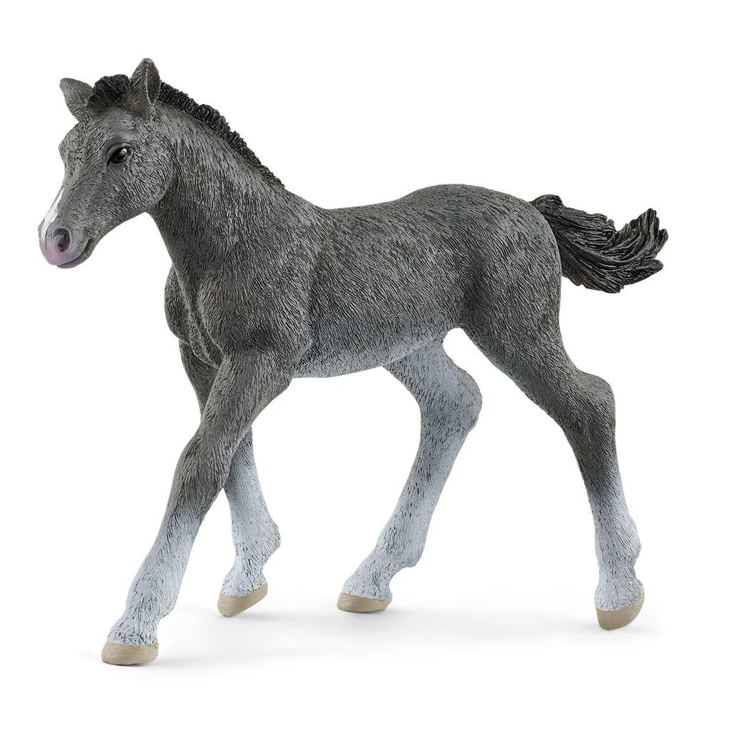 SCHLEICH TRAKEHNER FOAL