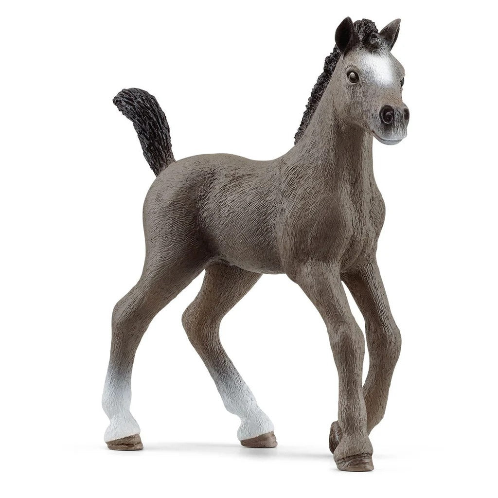 SCHLEICH SELLE FRANCAIS FOAL