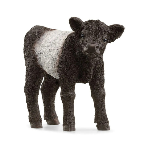 SCHLEICH GALLOWAY CALF