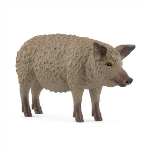 Woolly Pig