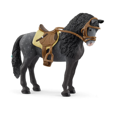 Purebred Spanish Mare with Accessories