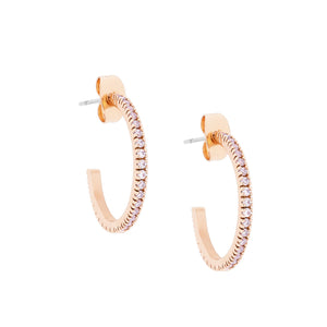 Crystal Earrings (Pave Set)